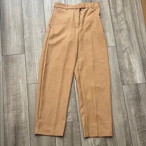Aritzia Babaton Pants